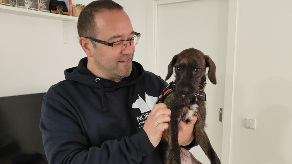 Juan Carlos Castilla, adiestrador canino
