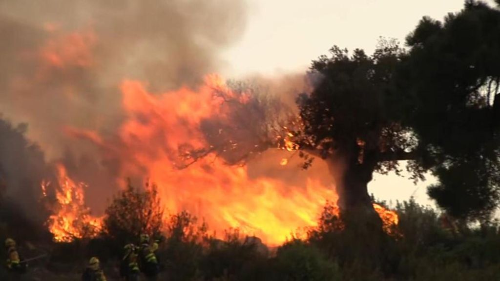 El incendio de Navaluenga, Ávila, afecta a unas 1.500 hectáreas y sigue activo aunque estabilizado
