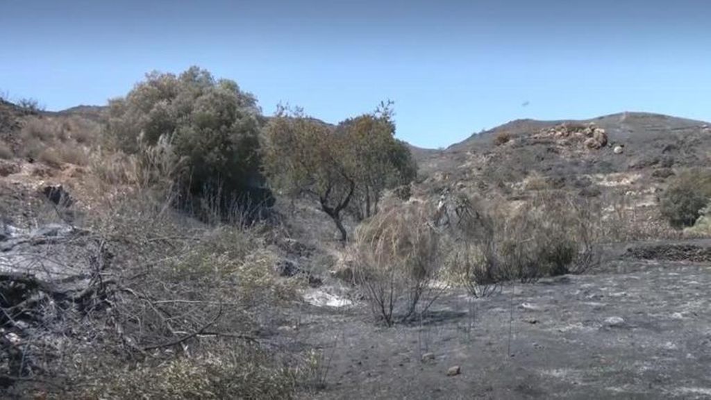 Estabilizado el incendio en Lubrín, Almería: medios terrestres y aéreos siguen trabajando en la zona