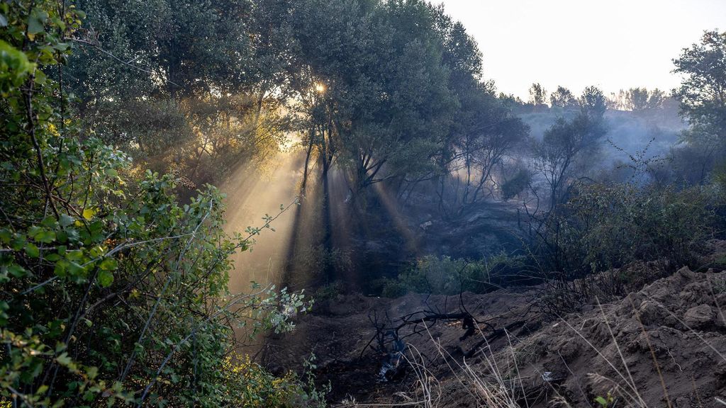 Controlado el incendio de La Torre de Esteban Hambrán, en Toledo