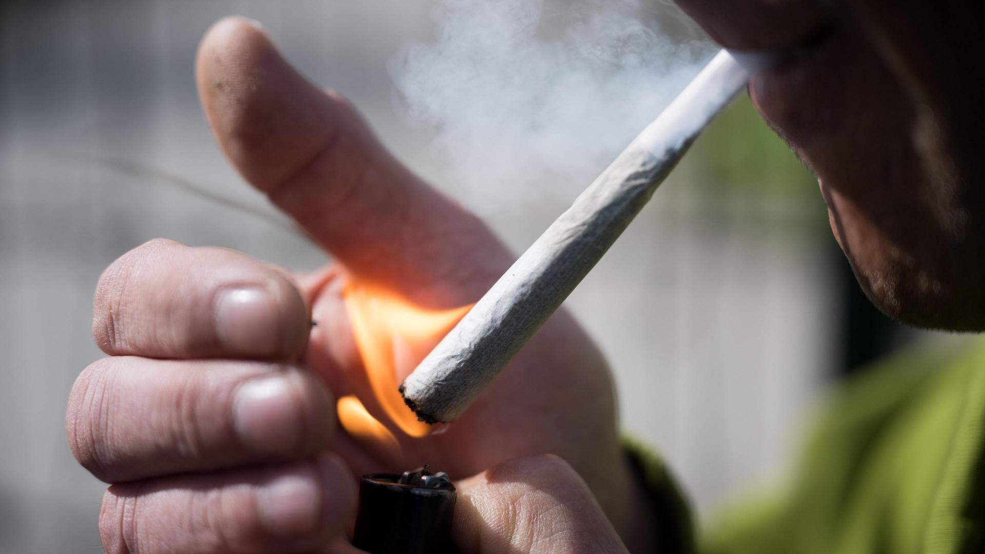 El cannabis que se fuma hoy es tres veces más tóxico que hace una década El cannabis que se fuma hoy es tres veces más tóxico que hace una década