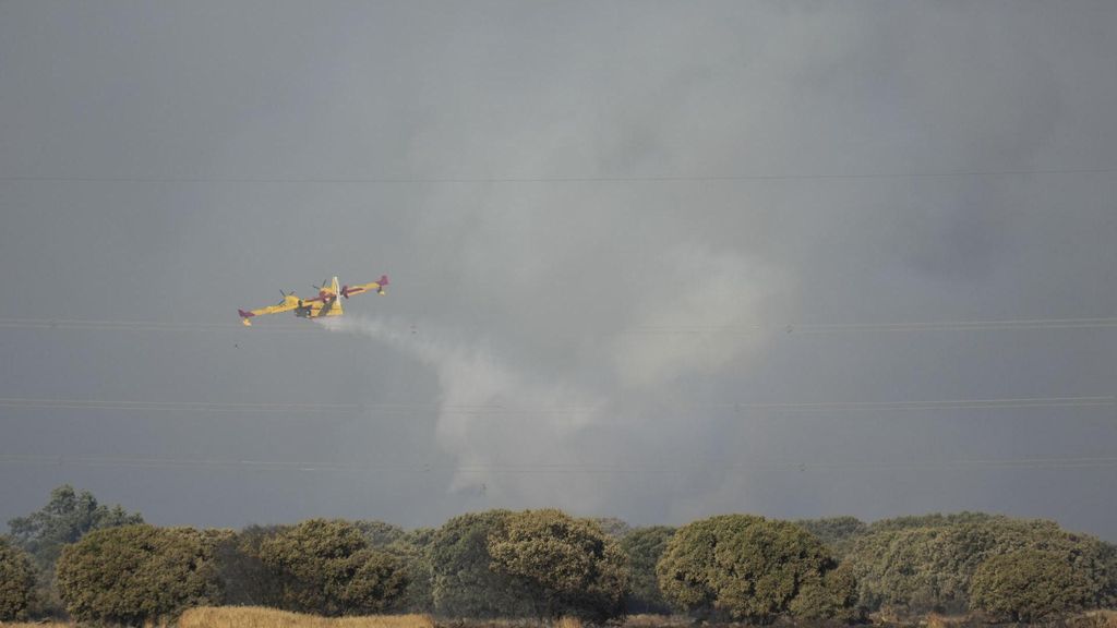 El incendio de Paredes del Monte, en Palencia, baja a nivel 1 gracias al trabajo de contención de los bomberos