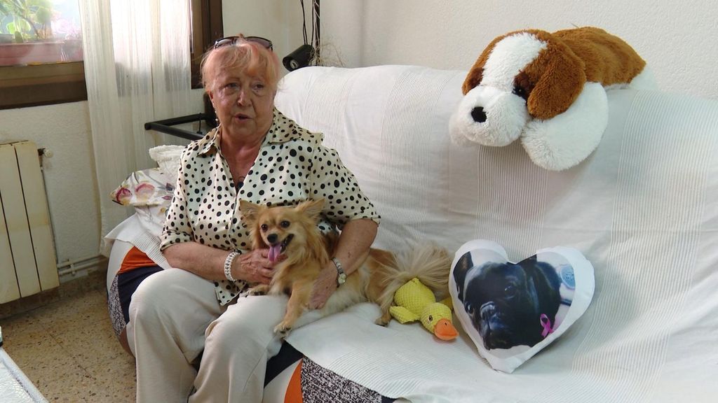 Perros para combatir la soledad en personas mayores: "Si necesitas cariño, mejor que ellos no te lo da nadie"