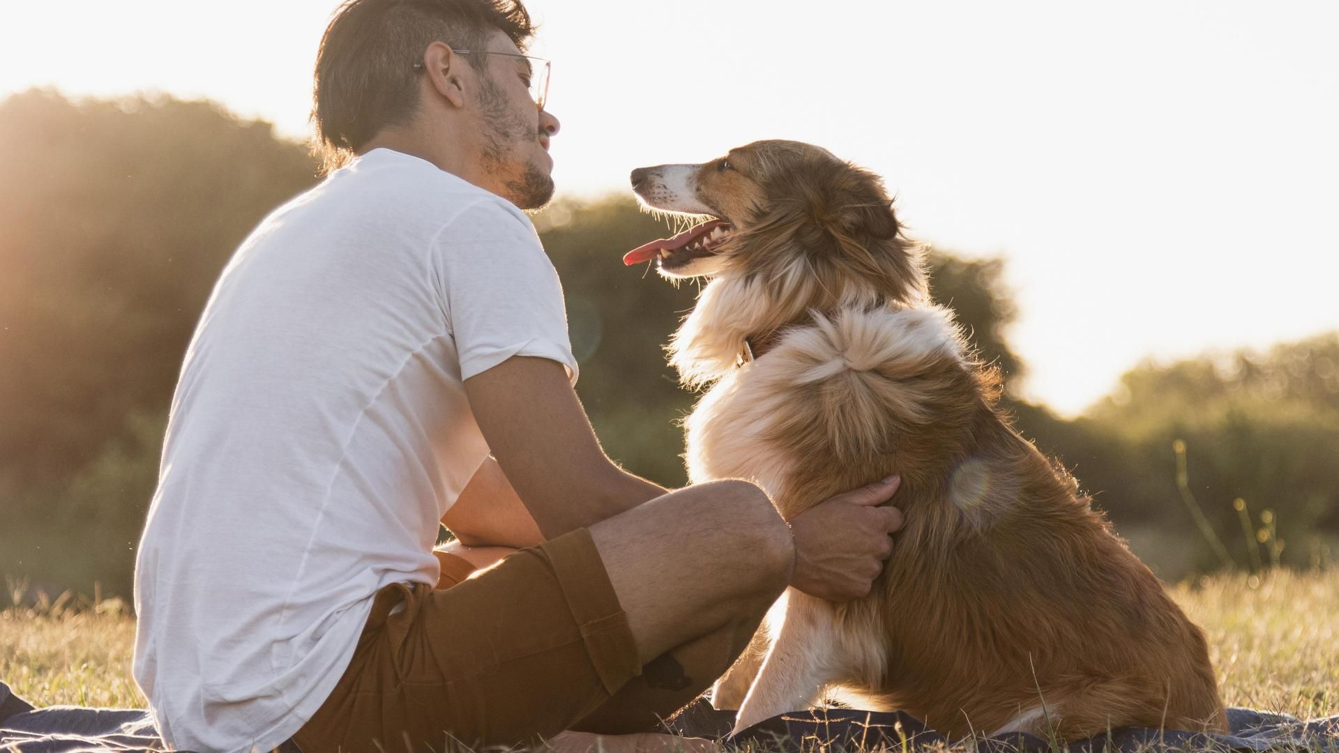 Hombre con su perro
