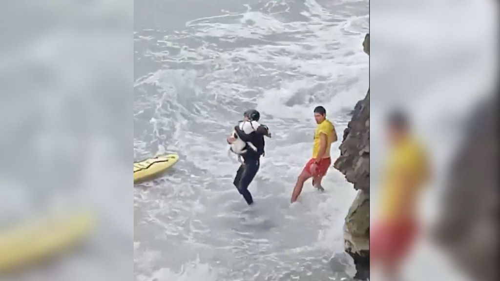 Rescate del perro en Sitges