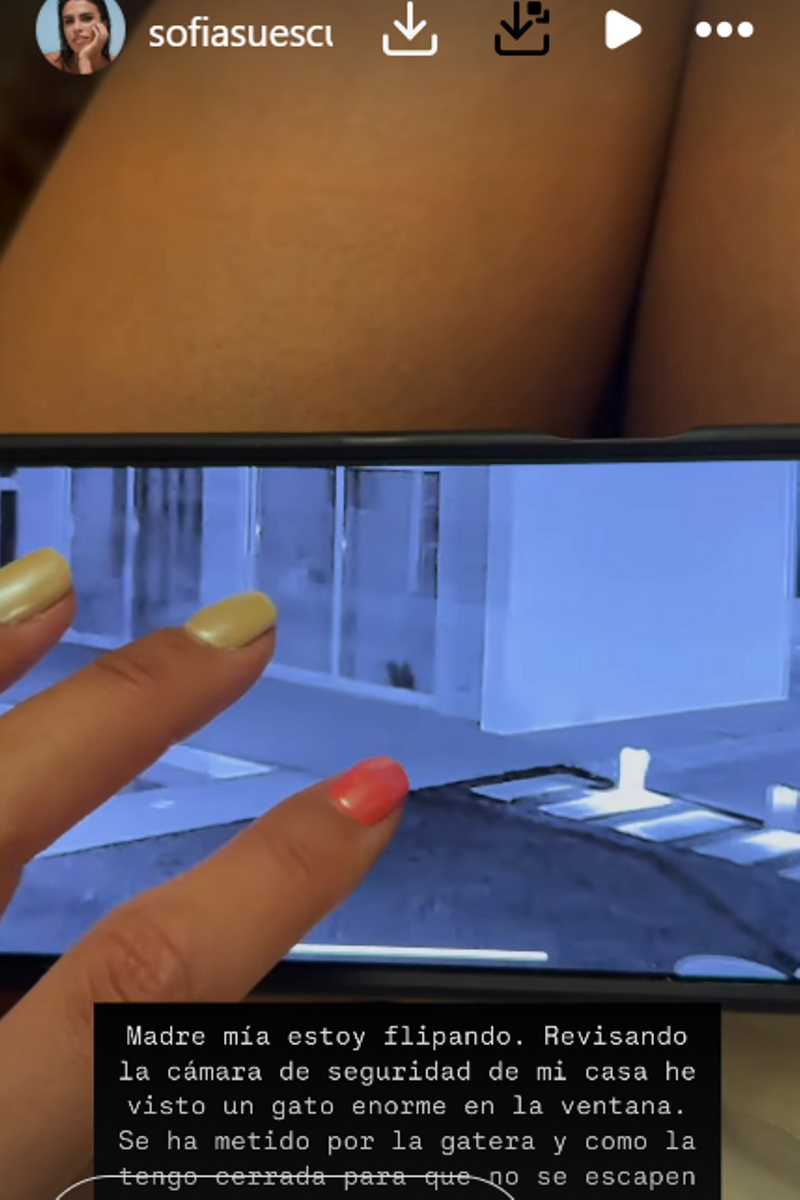 Sofía Suescun ha mostrado lo que ha descubierto a través de su cámara de seguridad