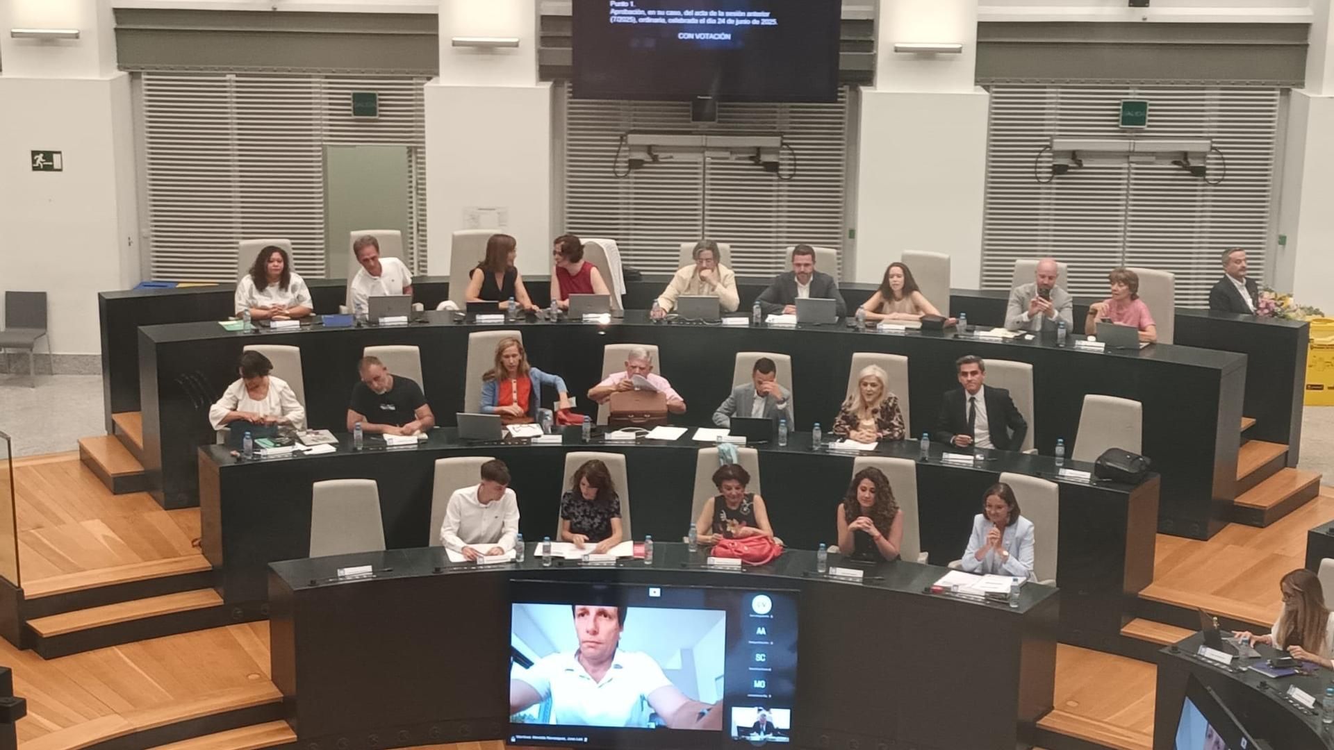 El alcalde de Madrid, José Luis Martínez-Almeida, se conecta a distancia al Pleno de Cibeles