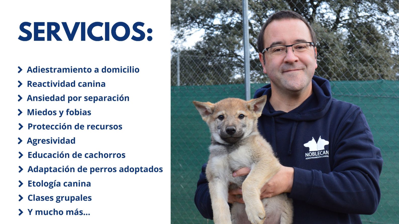 Juan Carlos Castilla, director de Noblecan