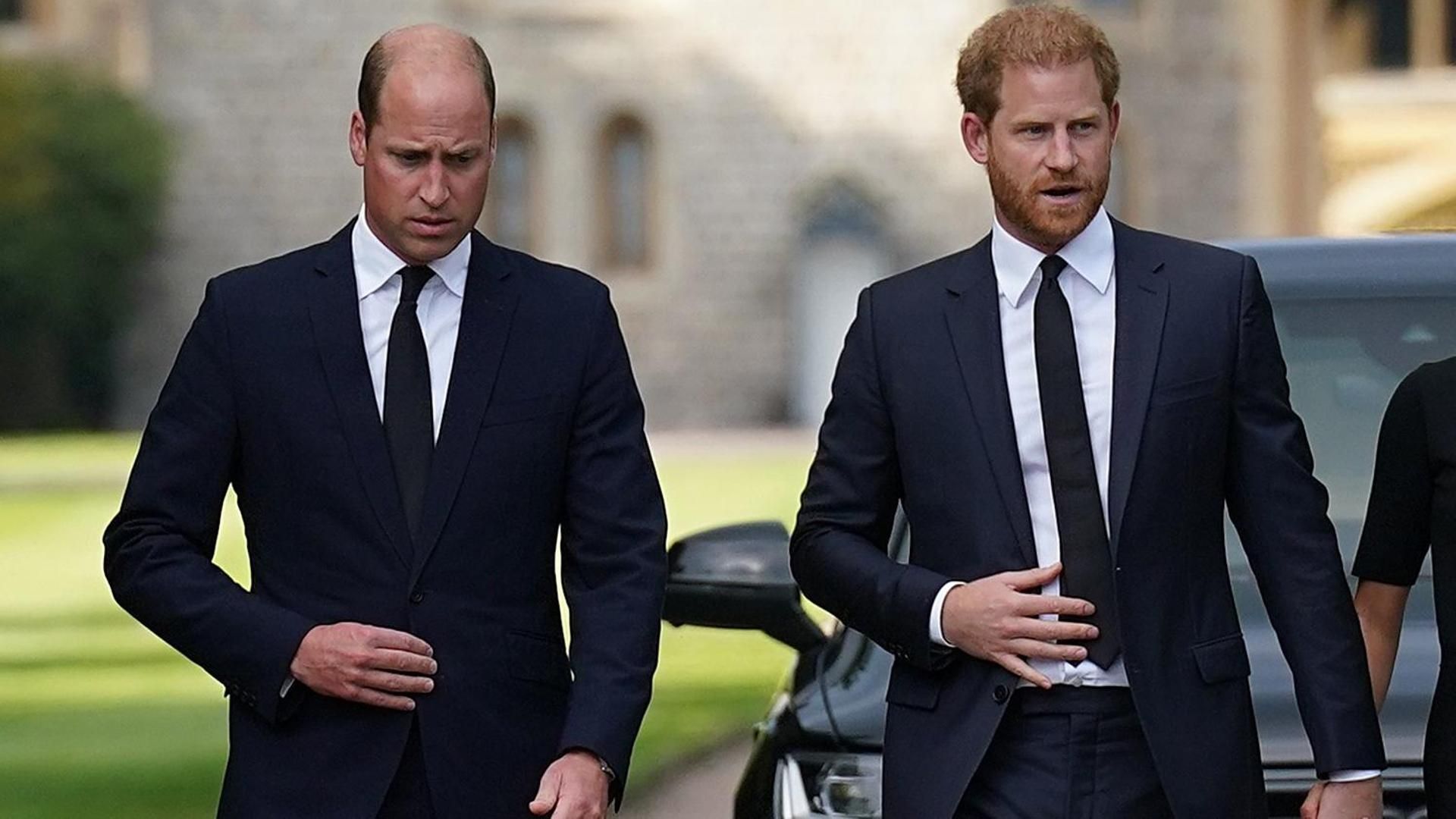 Los príncipes Guillermo y Harry