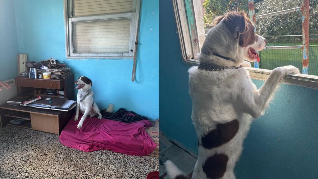 Taret, en la habitación en la que vive