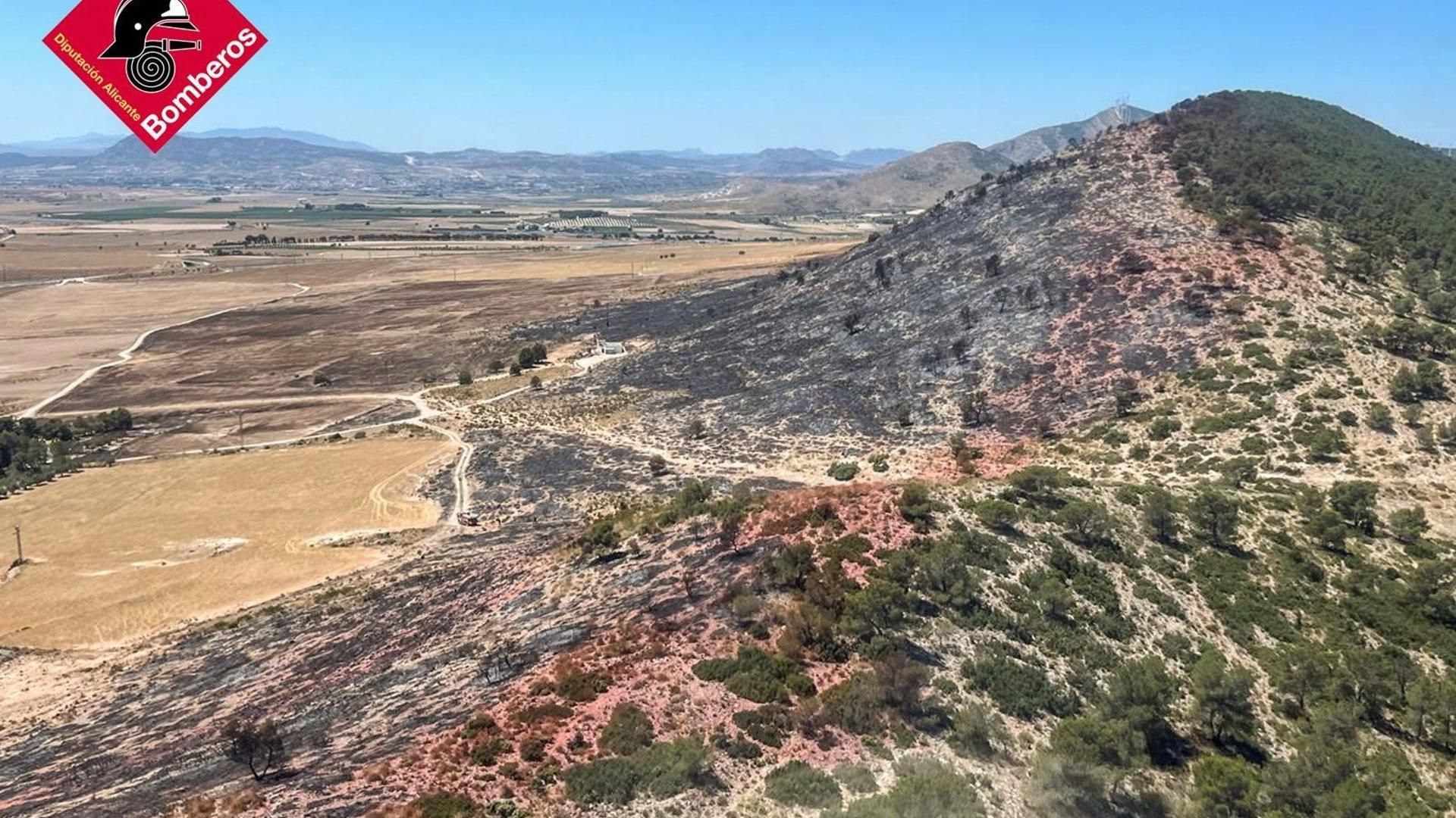 Zona calcinada en el incendio de Villena