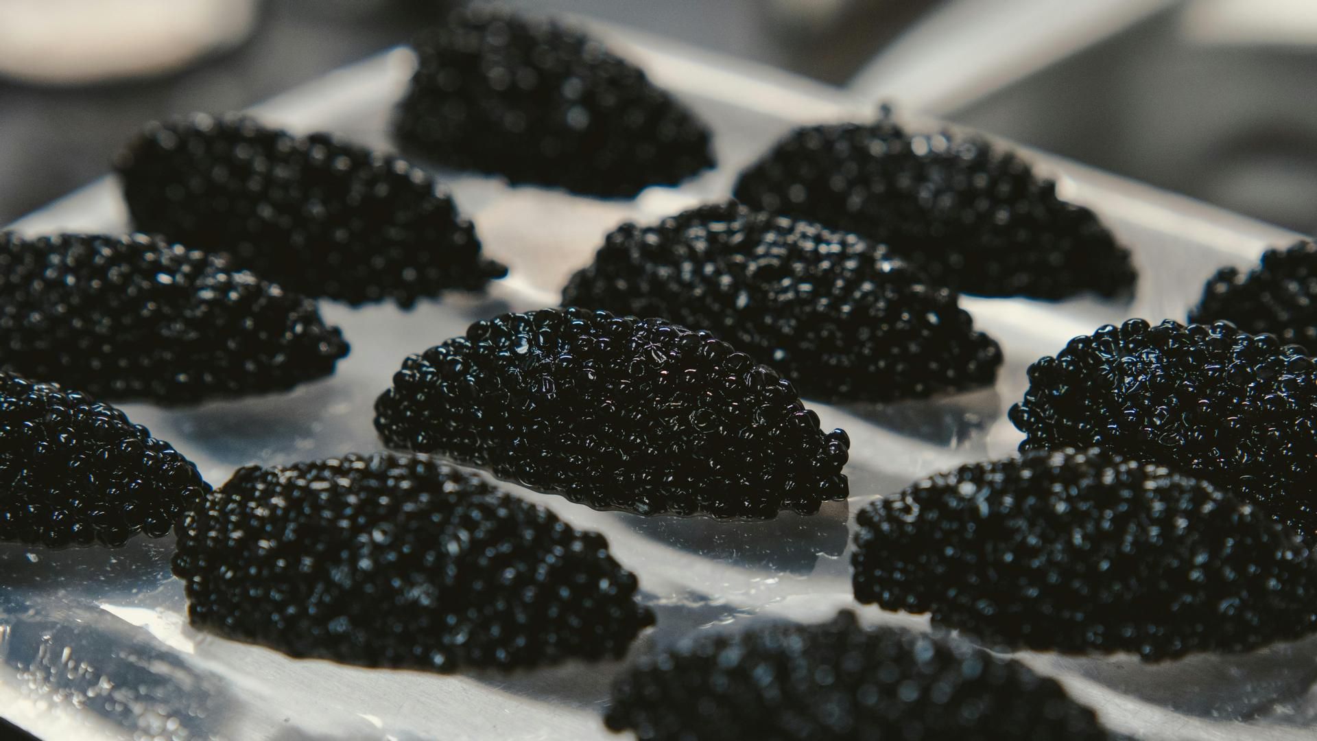 caviar