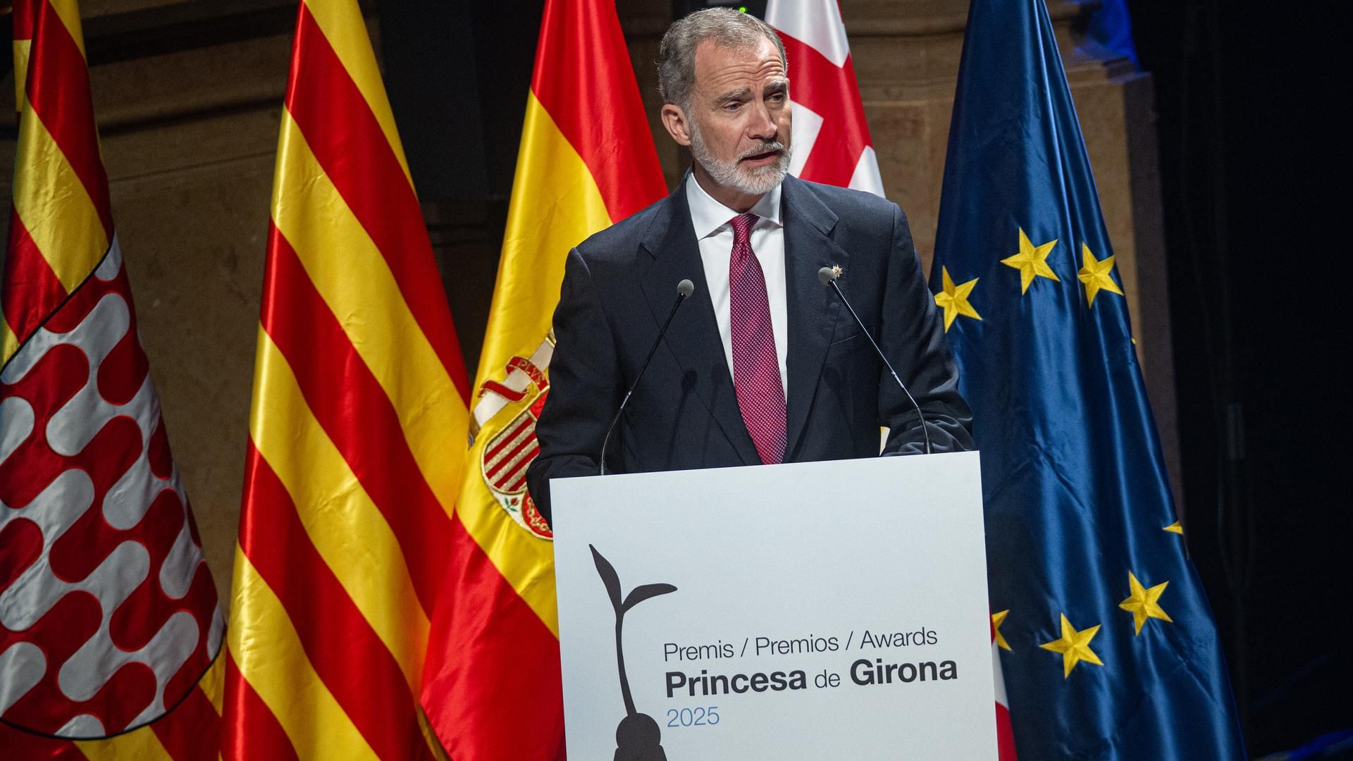 El rey durante su intervención