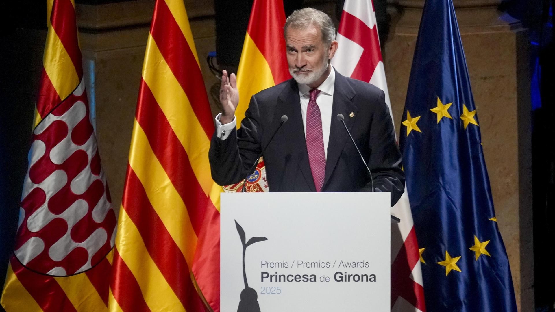 El rey Felipe VI