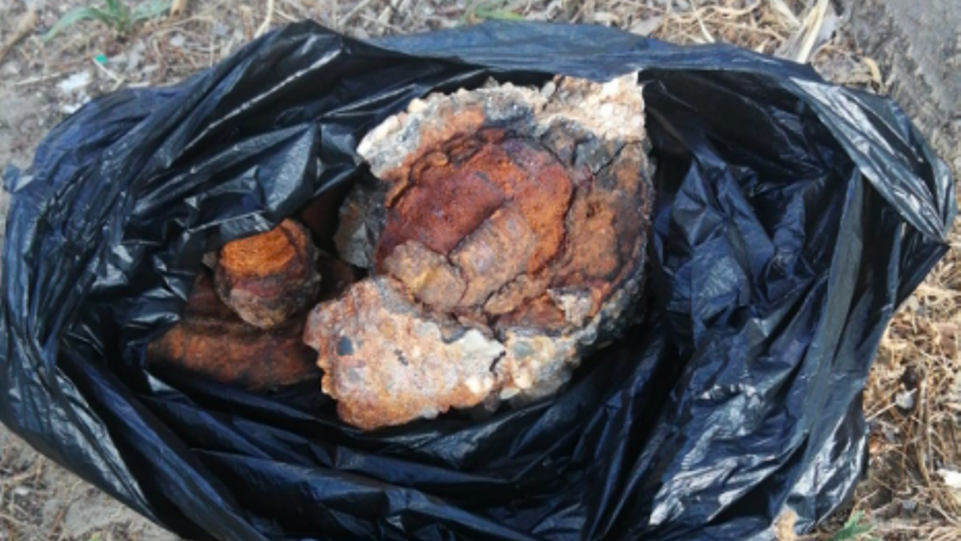 La sorpresa de una niña tras guardar una "piedra" de la Costa Brava: descubre al año que es una granada