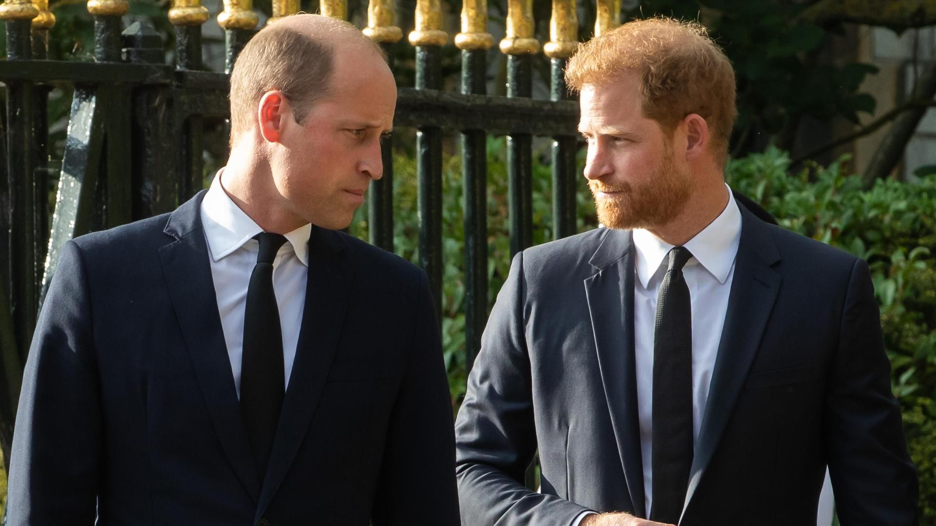 Príncipe Guillermo y Harry