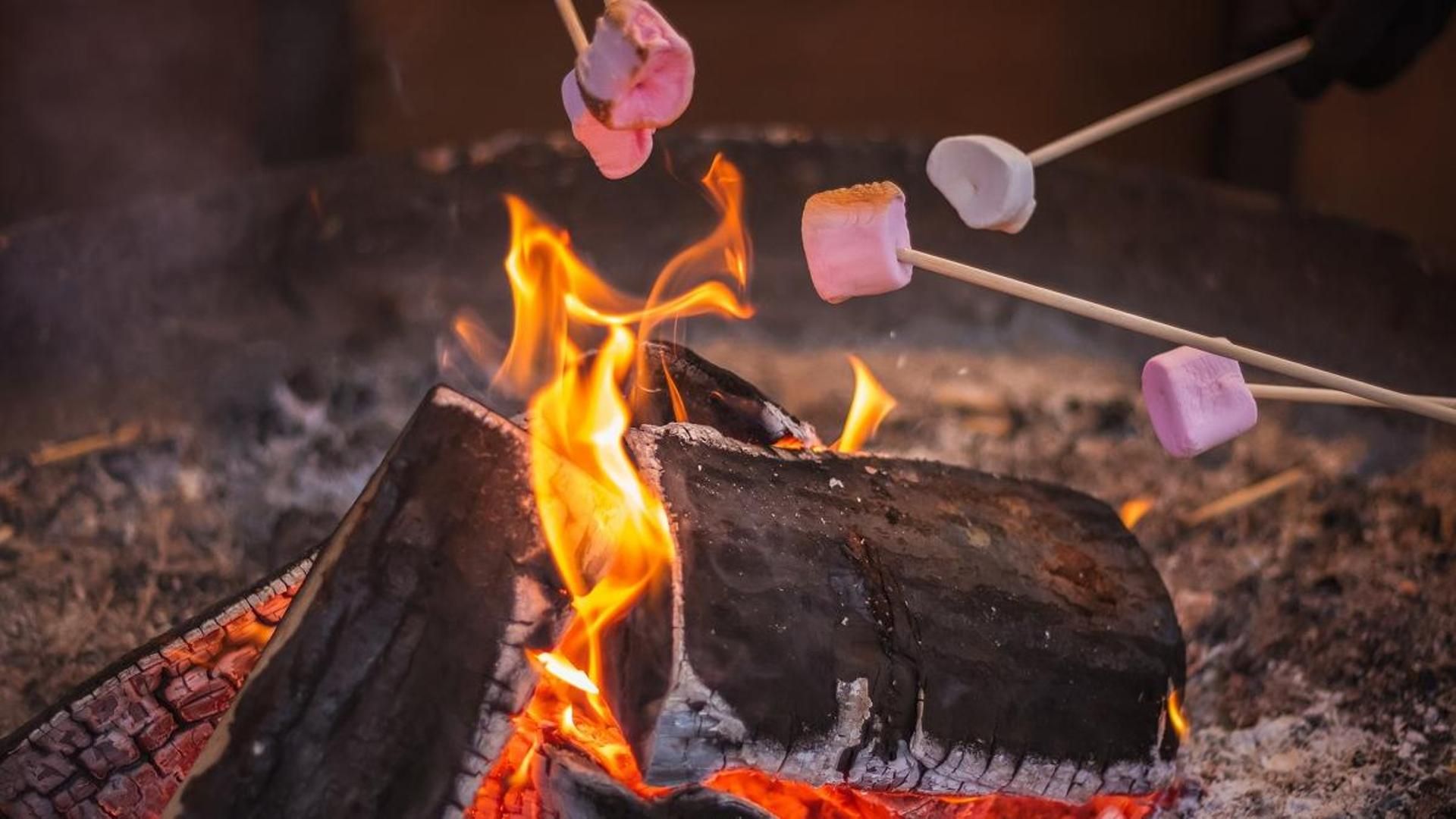 Una fogata durante una acampada Una fogata durante una acampada