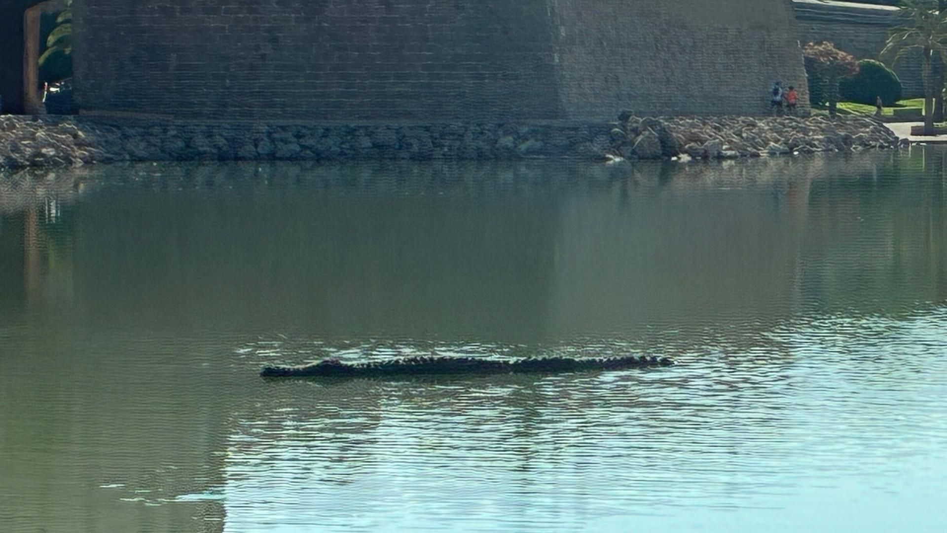 La pieza mide tres metros de largo, pesa unos 150 kilos y está elaborada con un mortero especial que resiste el agua de mar