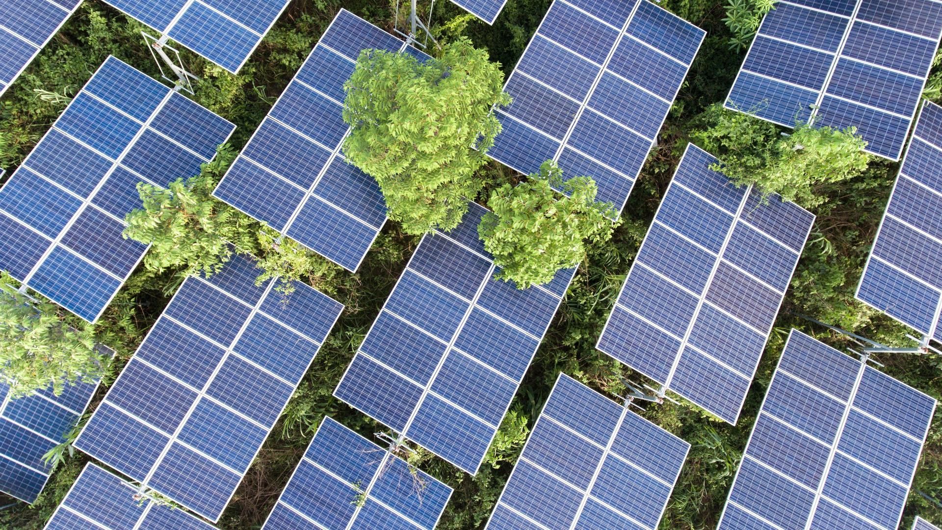 Imagen de placas solares.