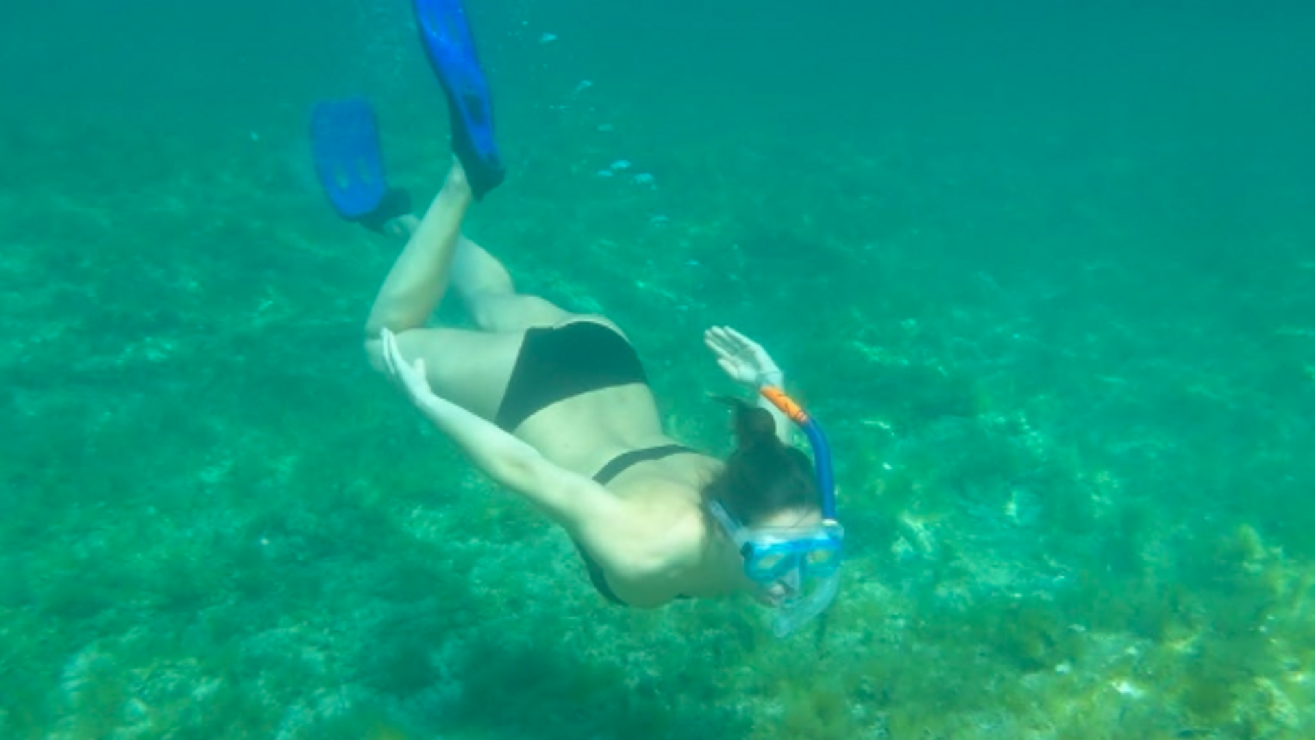 Snorkel sensorial Snorkel sensorial