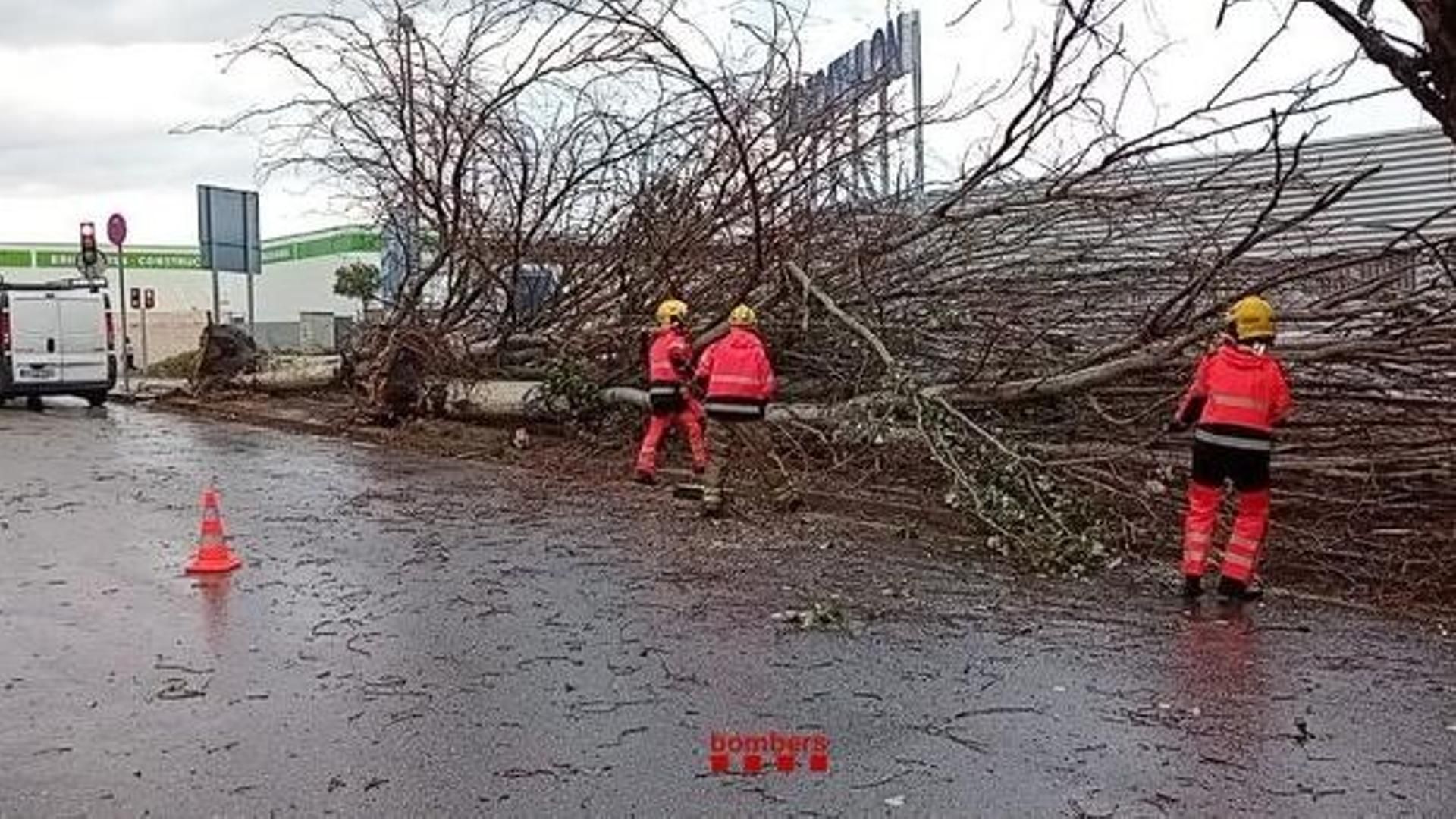 Fuerte temporal de lluvia y tormentas en Barcelona deja más de 200 llamadas al 112: contin�úan las alertas