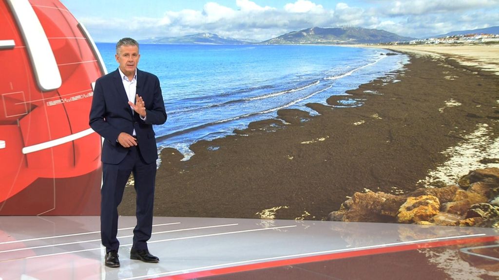 Con Roberto Arce Noticias Cuatro 2025 Noche 26/07/2025