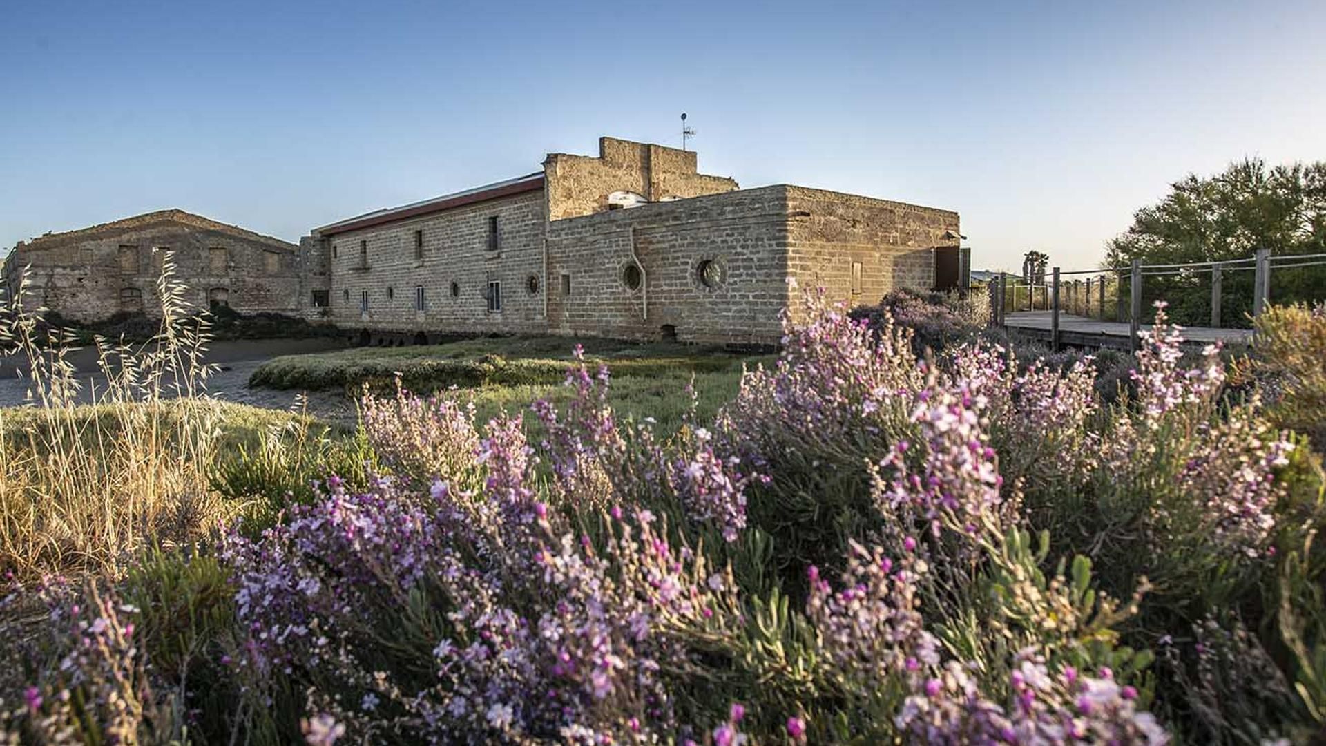 Su restaurante con 3 estrellas Michelin, 1 estrella verde y 3 soles Repsol