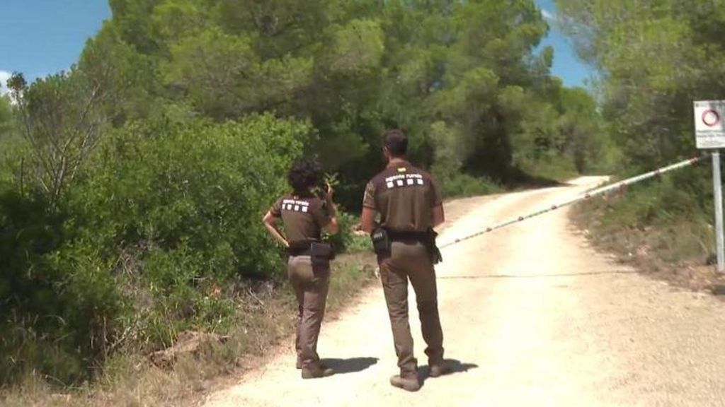 Alerta en Cataluña por el riesgo de incendios extremo en 45 municipios de la zona del Delta del Ebro