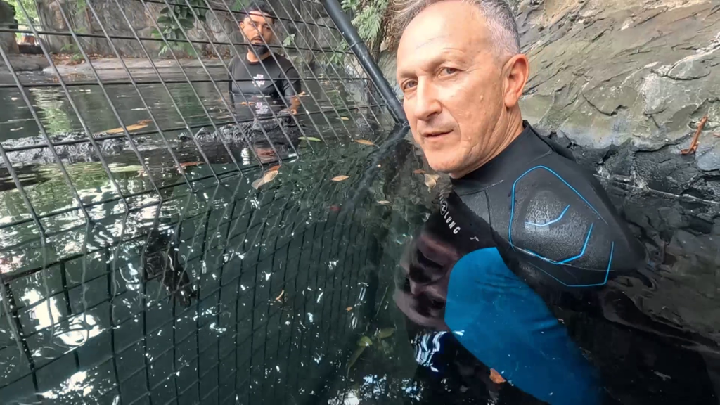 Así ha sido el tenso momento en el que Kike Calleja se ha bañado con un caimán: "Le tengo a 40 centímetros"