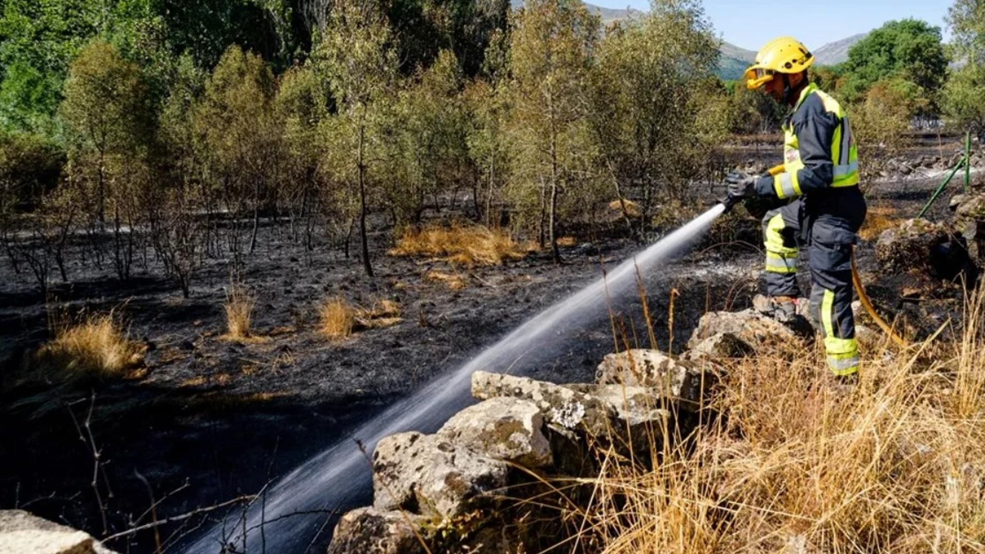 Efectivos lucharon durante diez días contra el incendio forestal declarado en el término municipal de Navaluenga (Ávila)