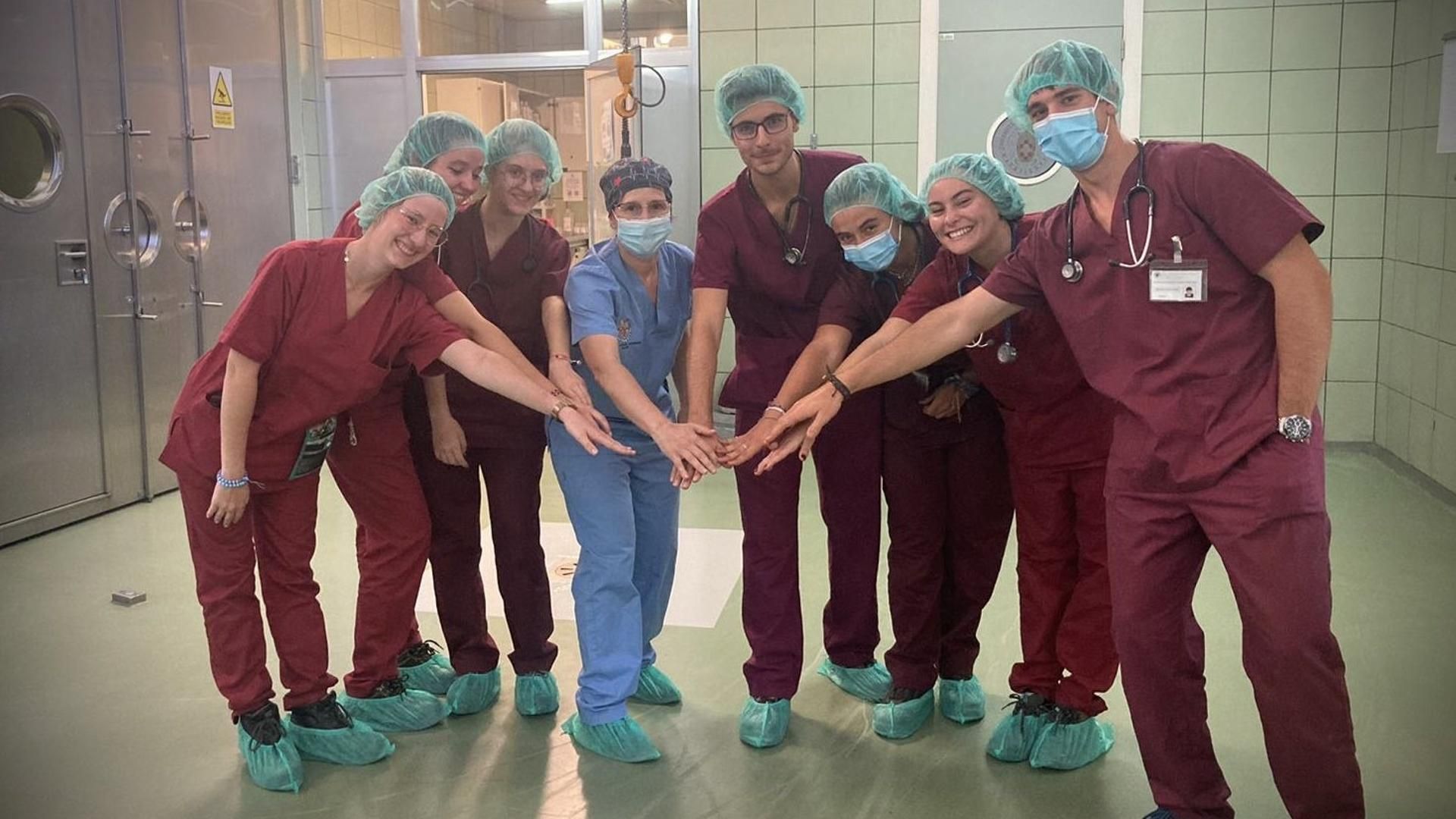 Implantan un marcapasos a un caballo en la Complutense de Madrid, un hito veterinario en España