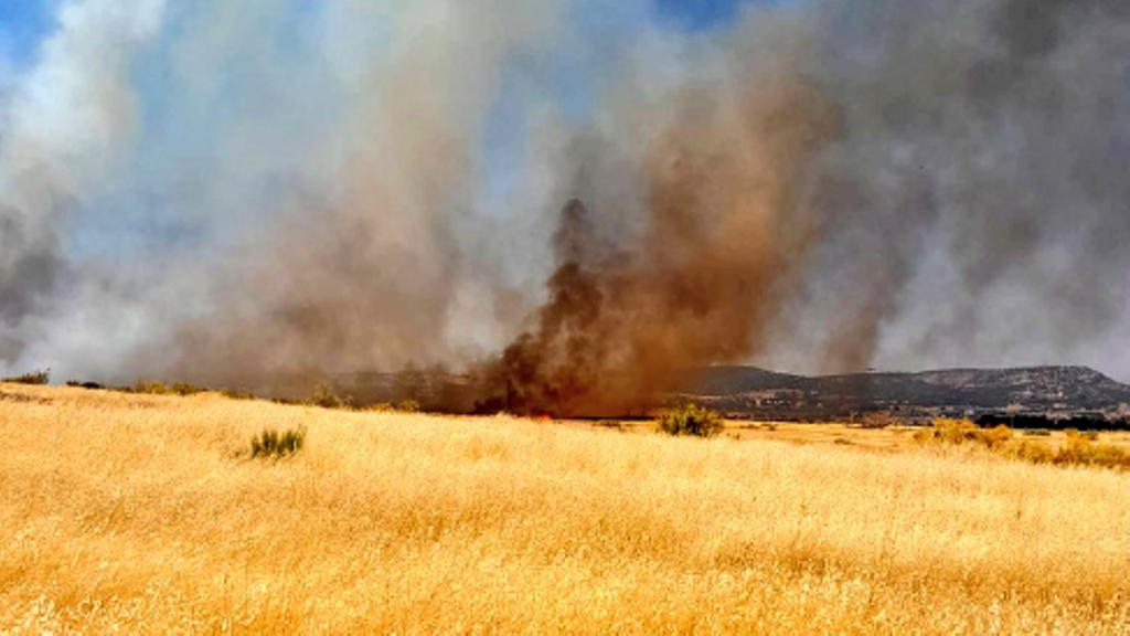Restablecida la circulación del AVE entre Madrid y Andalucía tras apagar los bomberos un incendio cerca de las vías en Ciudad Real