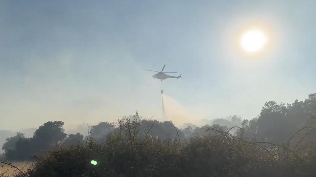 Un incendio forestal en Zarzajelo, en Madrid, obliga a desalojar una urbanización y a cortar la M-532