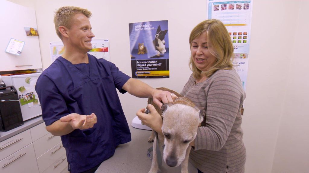 P10 - El 'abuelo' de Liza necesita un chequeo Veterinario en la ciudad Temporada 1 Programa 10