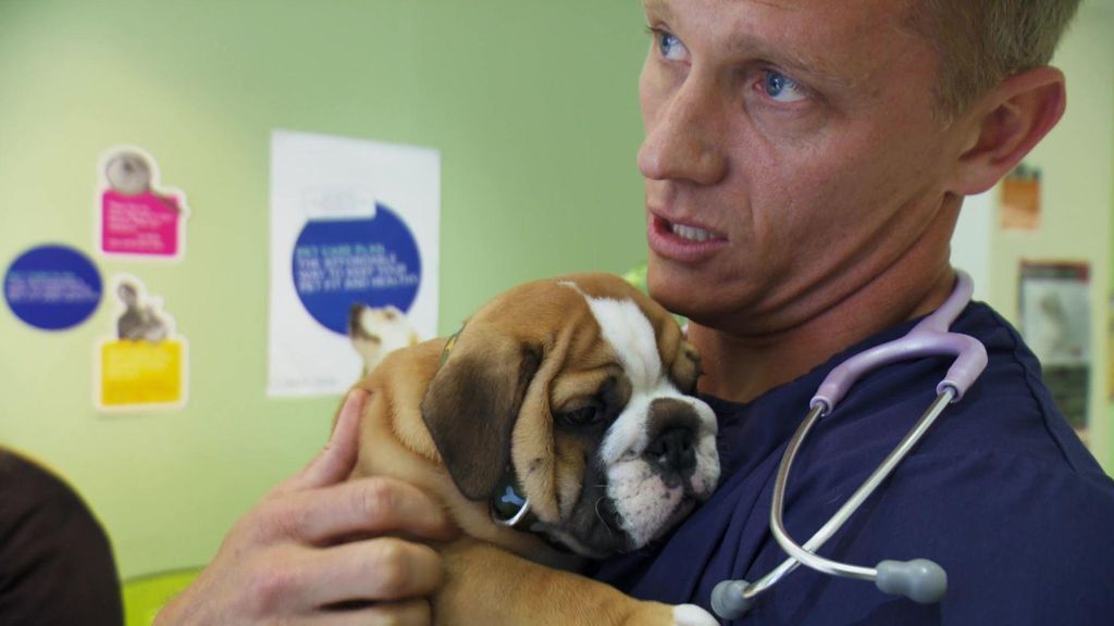 P9 - El pequeño Barkley Veterinario en la ciudad Temporada 1 Programa 9