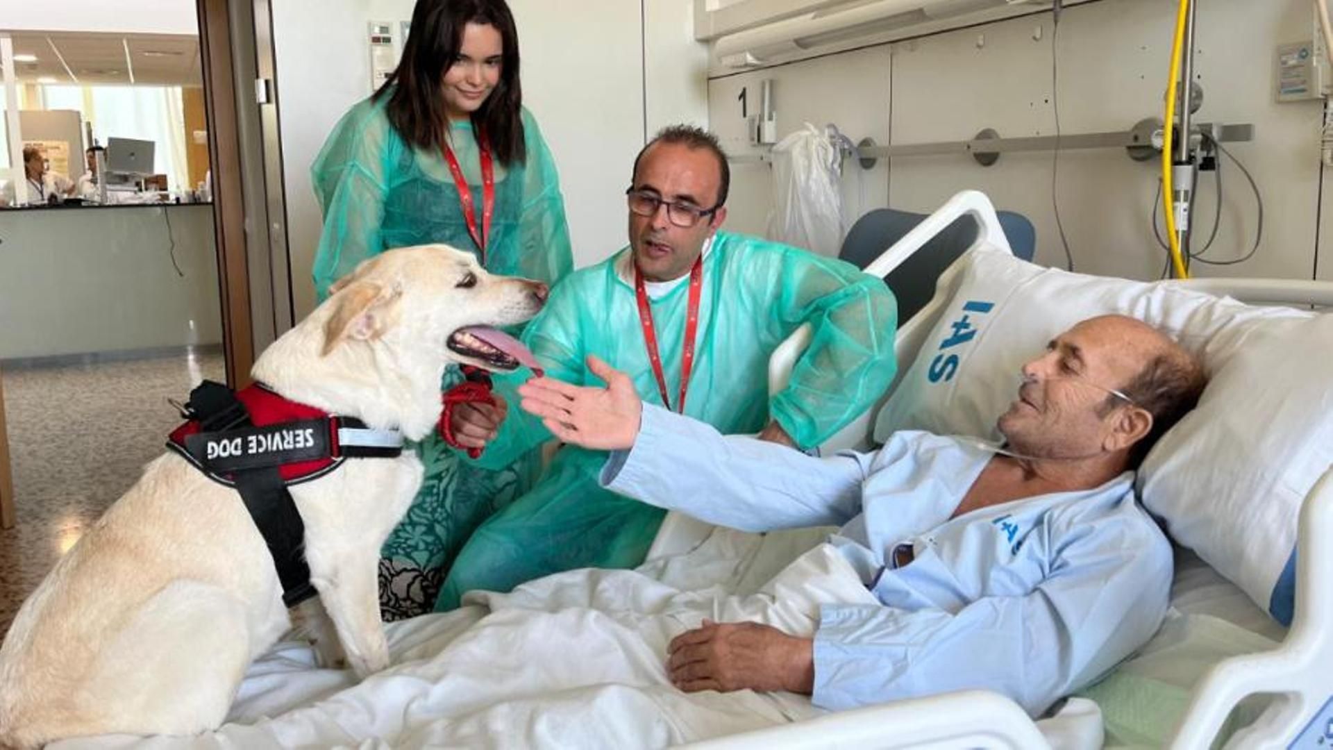 Hospigos, un proyecto de Purina en Girona