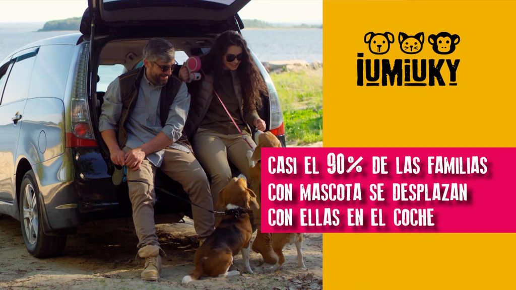 P278 - Los hábitos en conducción Iumiuky Temporada 3 Programa 278