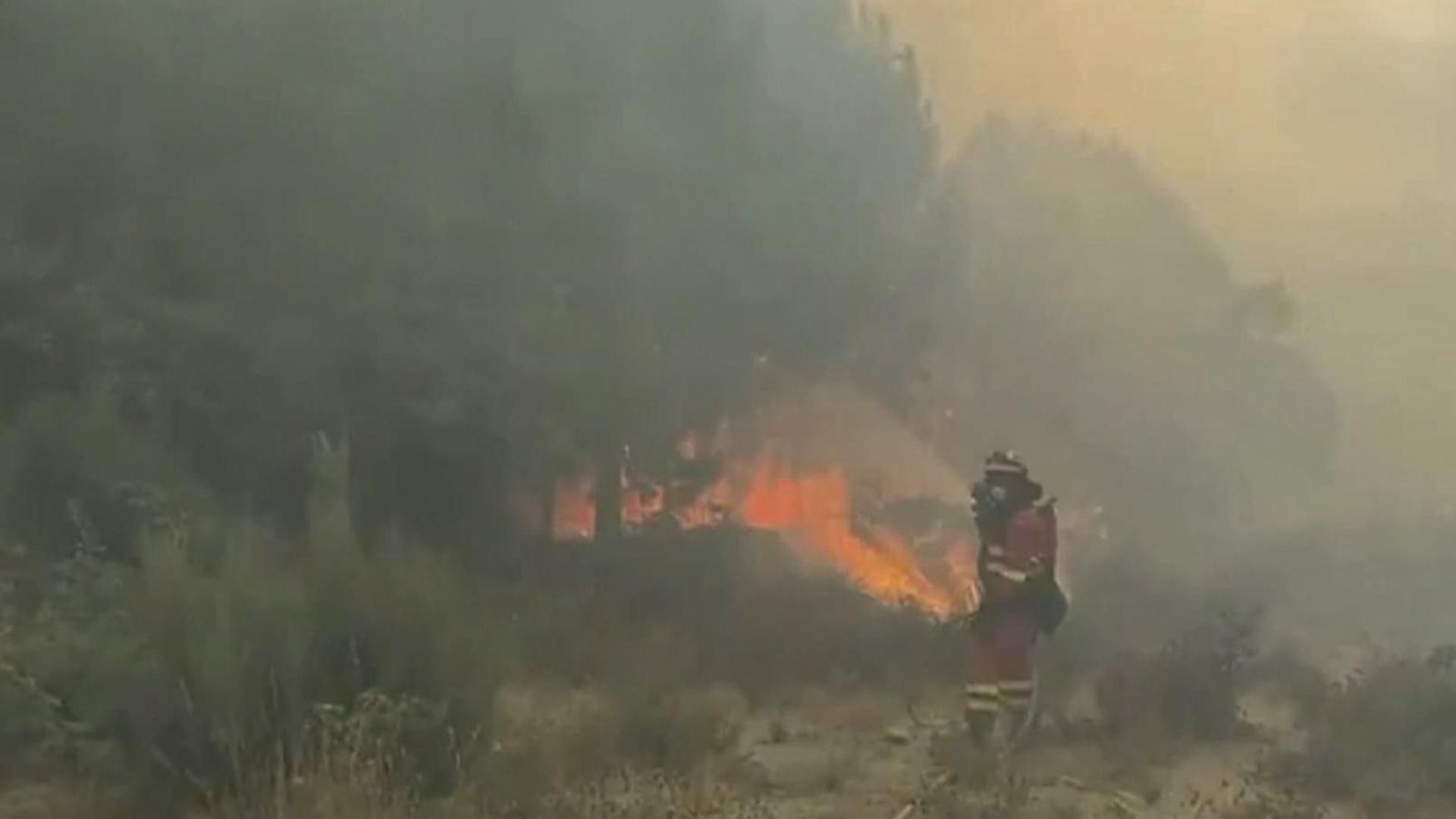 Muere un bombero forestal en un accidente cuando se dirigía al incendio de Ávila