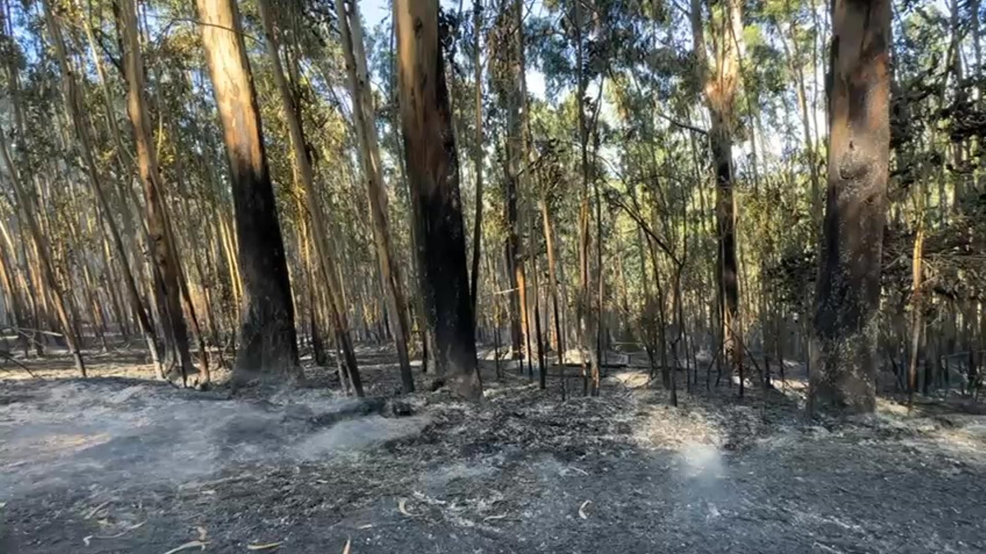 Un espectacular incendio arrasa los montes de O Salnés, Pontevedra