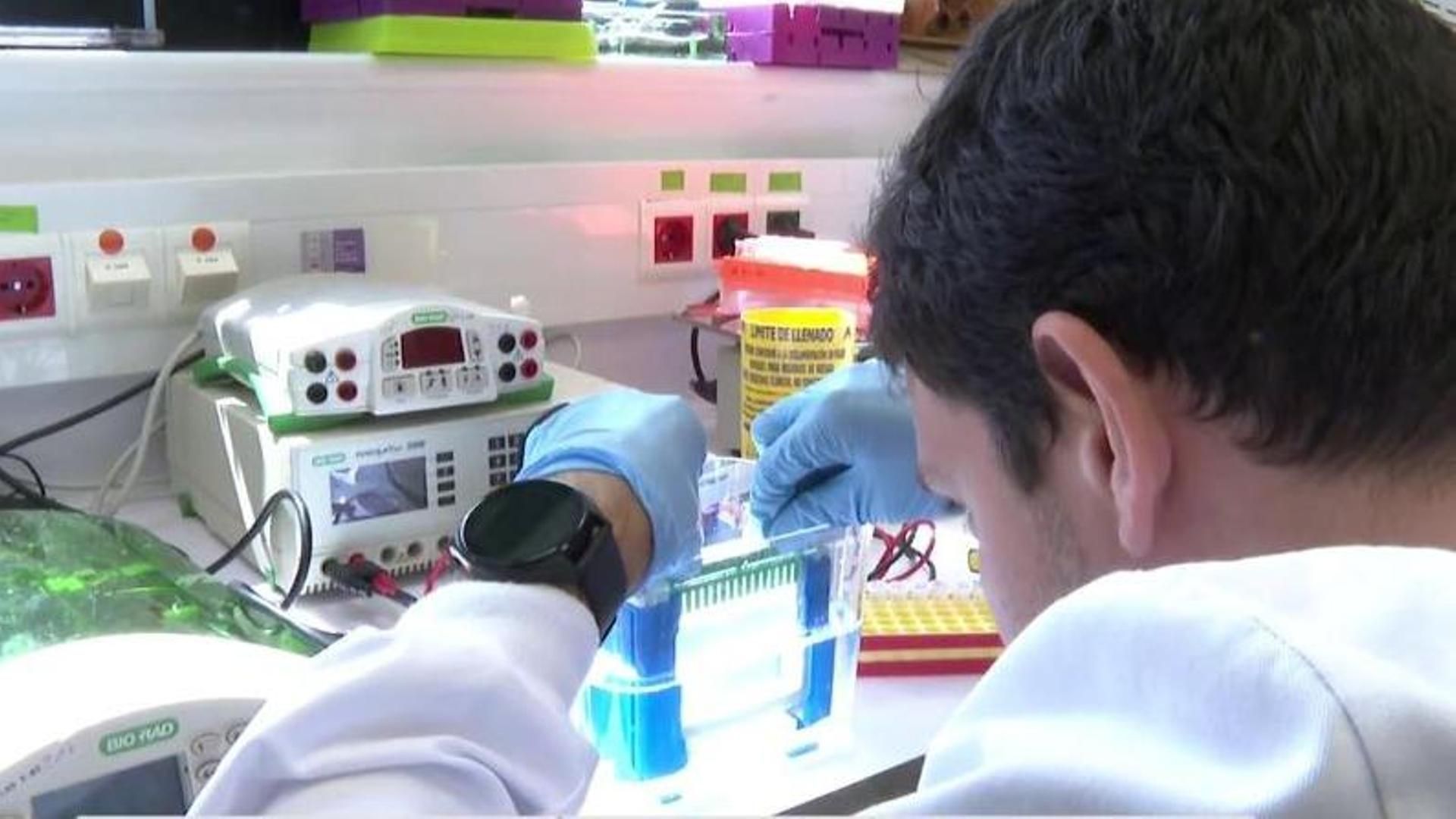 Un experimento de la Universidad de Navarra lograría reducir en un 90% la metástasis en el cáncer de mama triple negativo