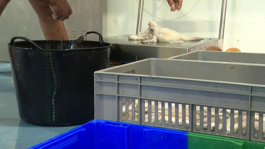 El IPC sube y sitúa la inflación en el 2,7%: la clave está en el encarecimiento de productos como el pescado