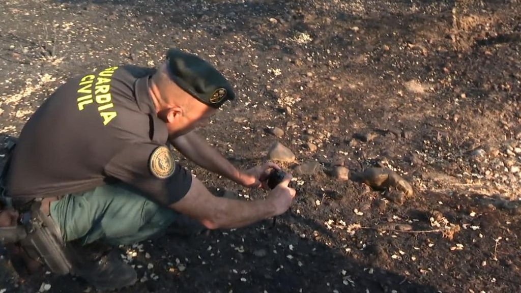 Los 'detectives' de los incendios forestales: así trabajan los efectivos del Seprona en la investigación del origen de un fuego
