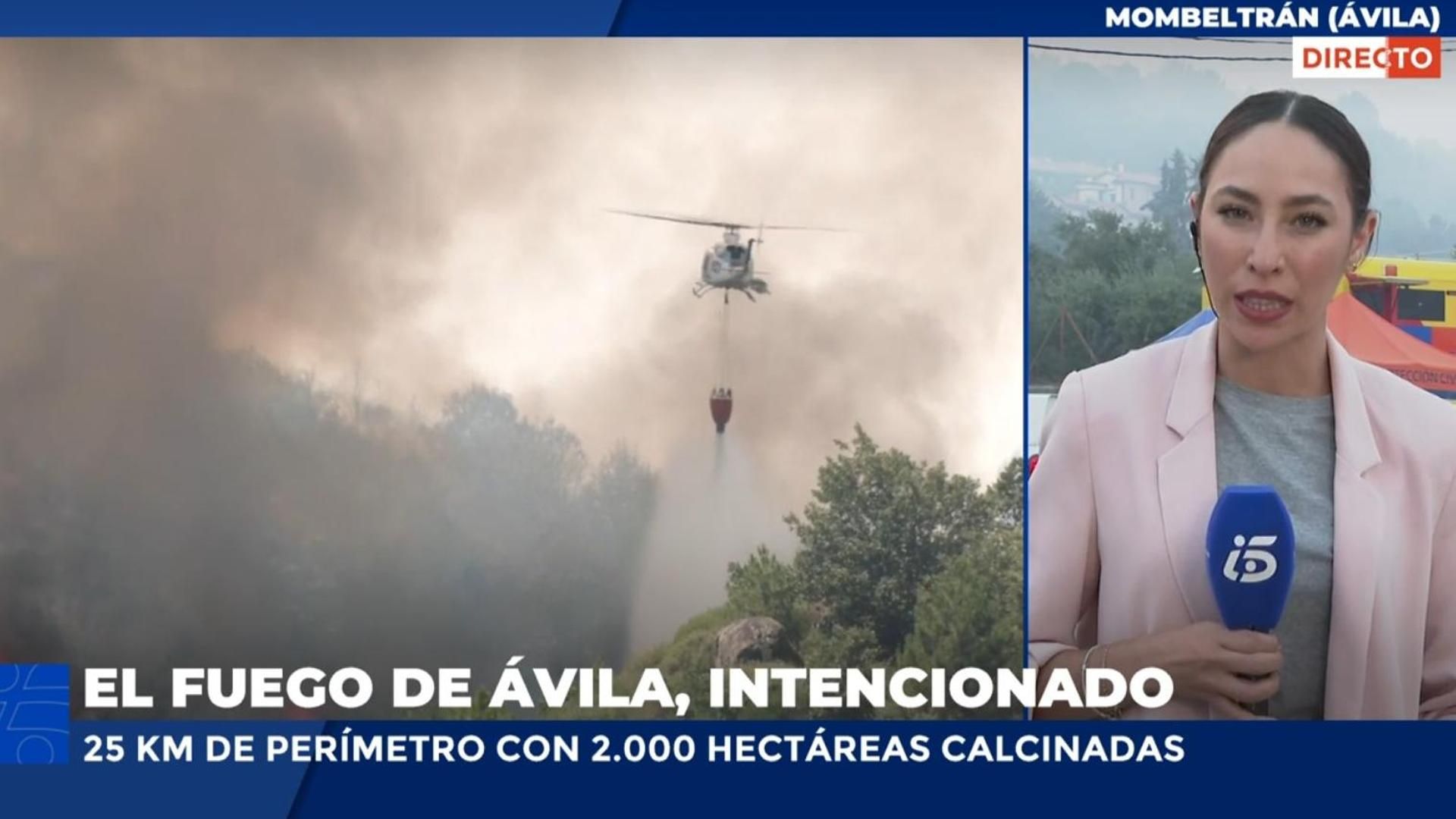 Los últimos incendios en la provincia de Ávila presentan "claros indicios de intencionalidad"