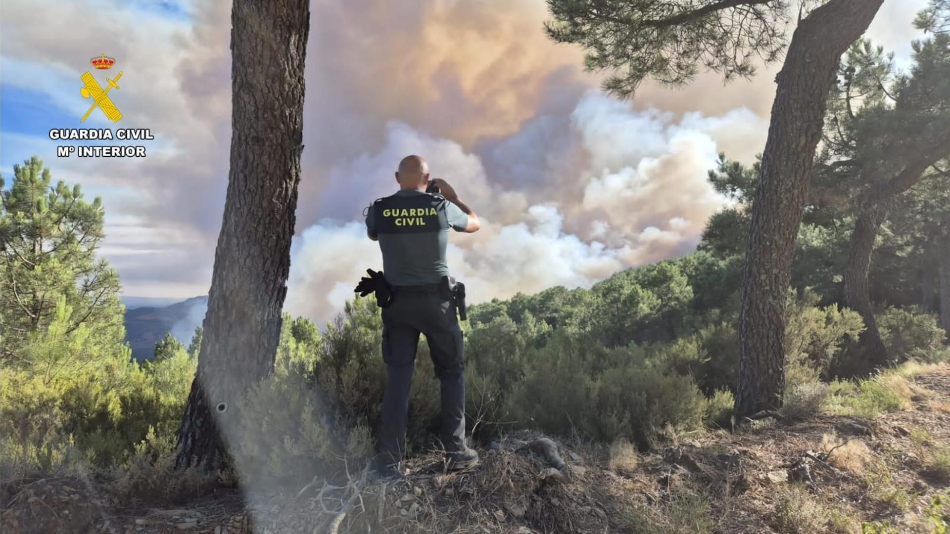 Los efectivos trabajan en controlar varios flancos del incendio en Las Hurdes con el foco en Avellanar
