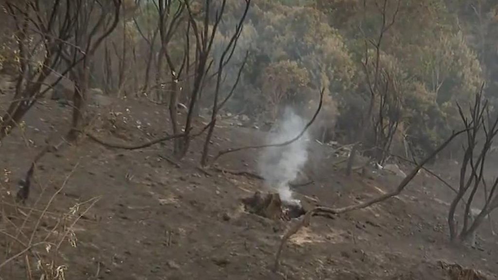Puntos calientes y viento nocturno dificultan el control del fuego en Ávila pese a los avances en el perímetro
