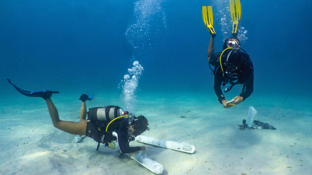 Una de las inmersiones de Andrea junto al equipo del IBEAM