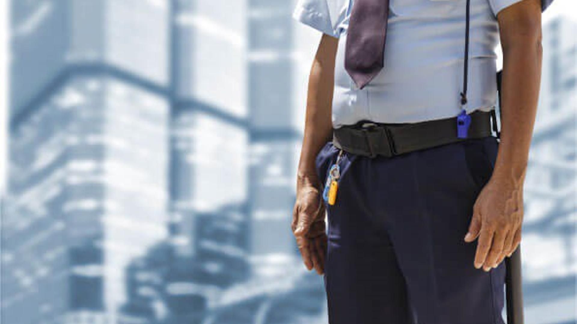 Vigilante de Seguridad