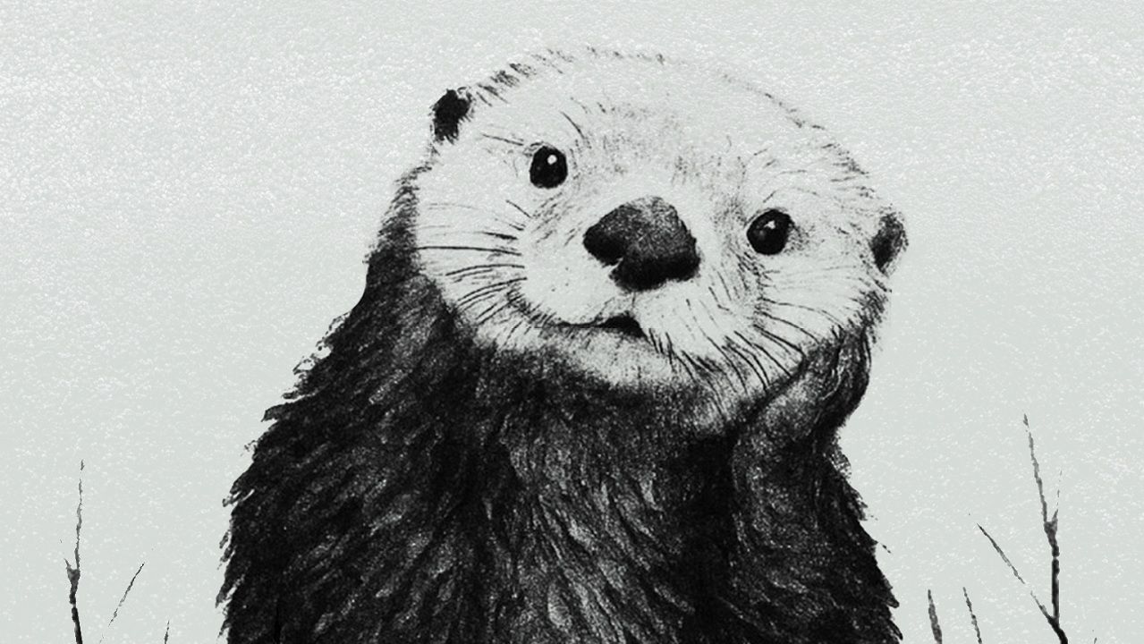 Detalle de la portada de Fábulas que sanan