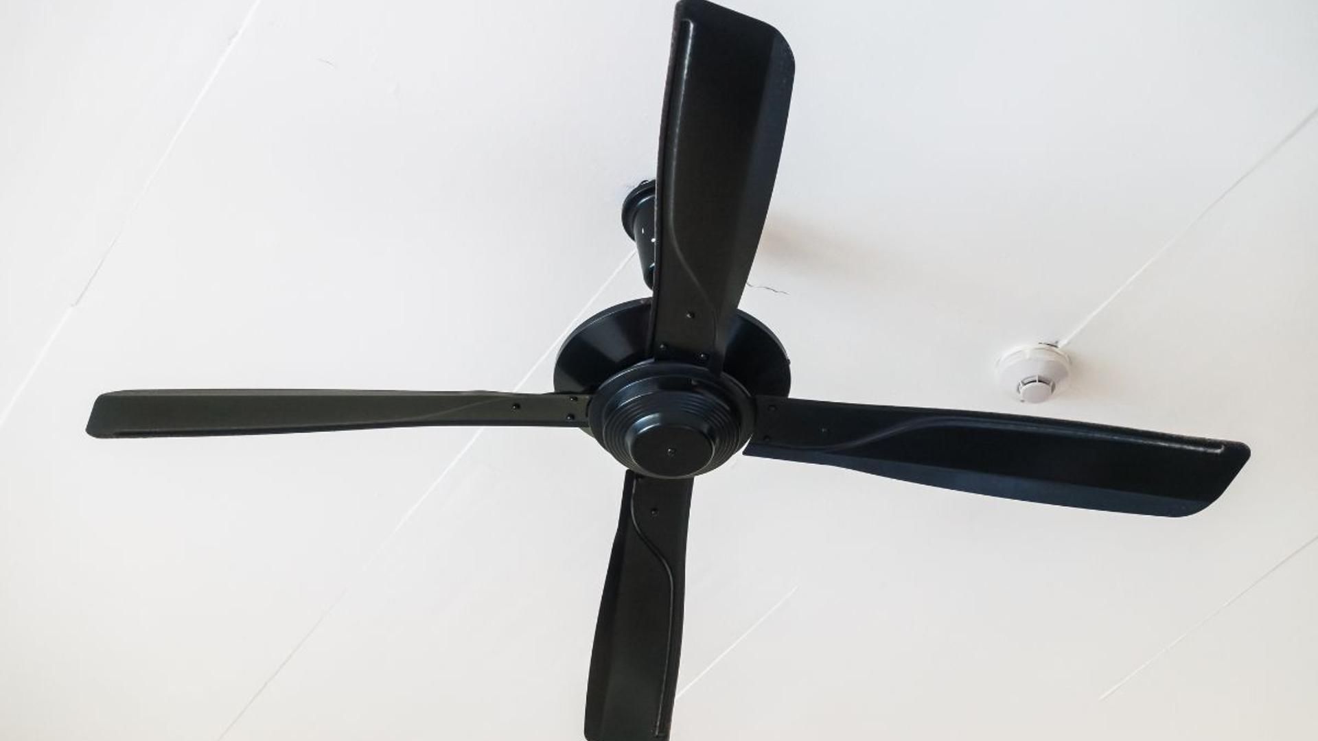 Los mejores ventiladores de techo en relación calidad-precio del 2025