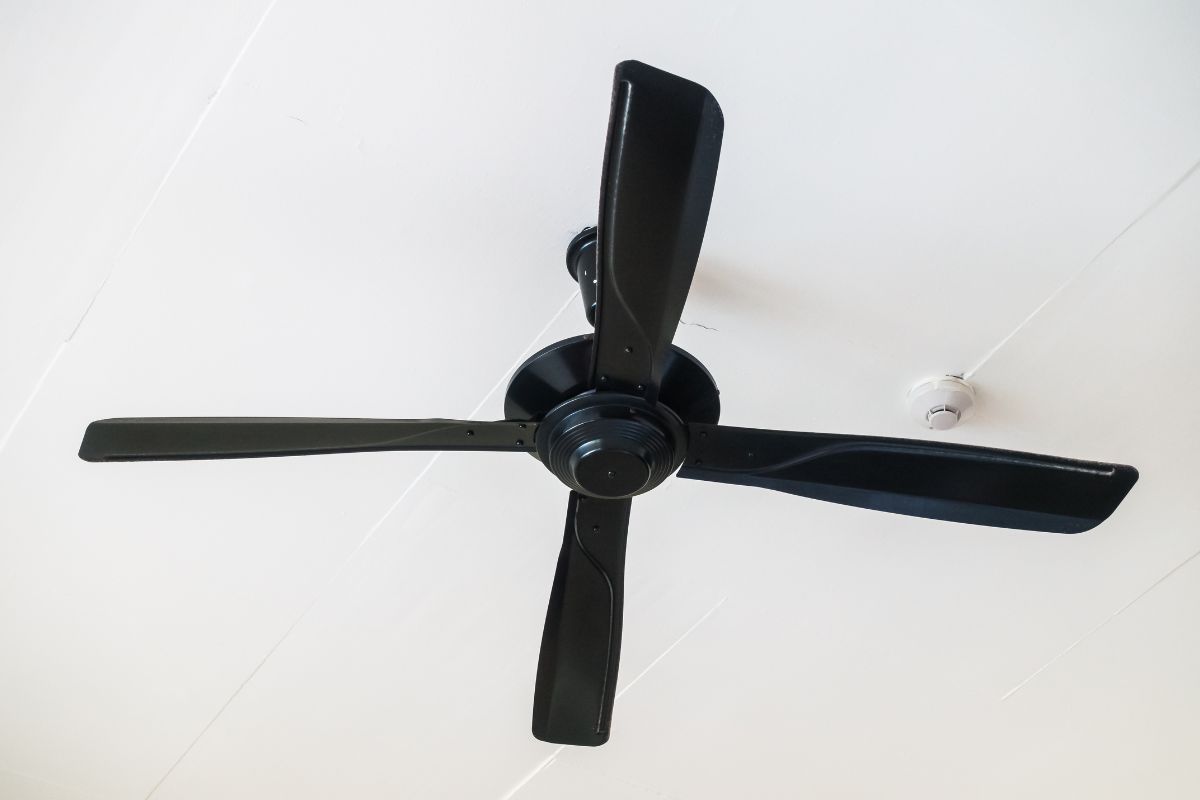Los mejores ventiladores de techo en relación calidad-precio del 2025
